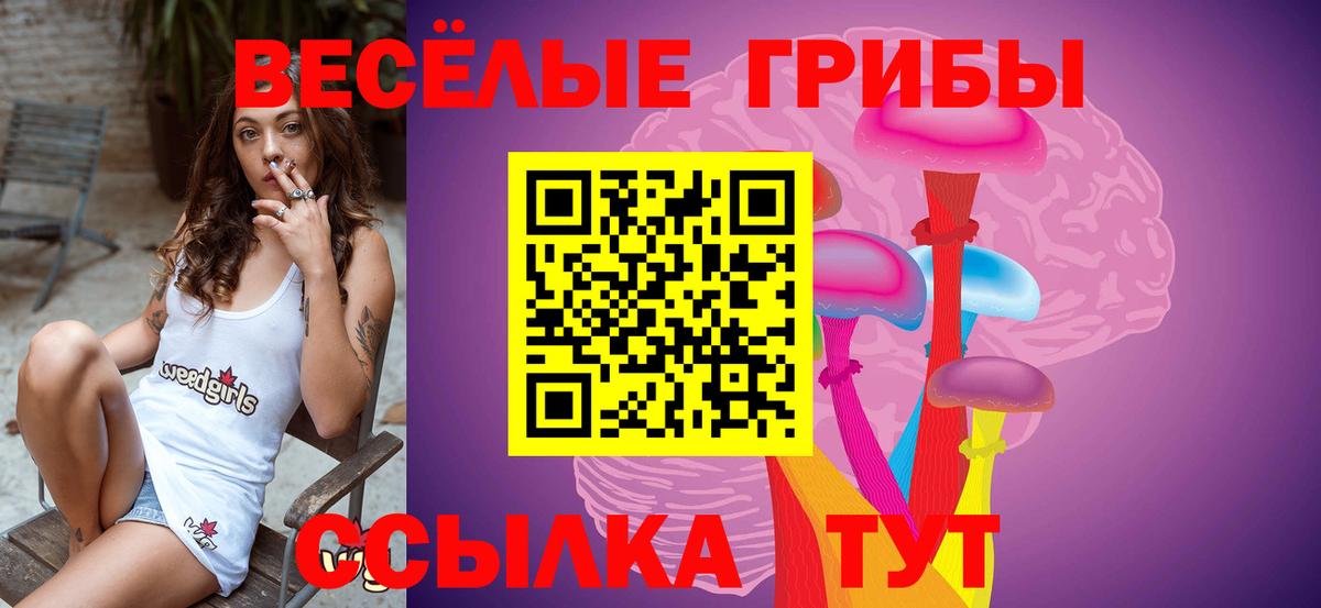 Полевской  Галлюциногенные грибы мицелий  Псилоцибиновые грибы ЛСД  Вход с VPN 